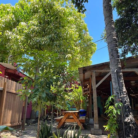 Banana Bungalow Maui Hostel Wailuku Extérieur photo