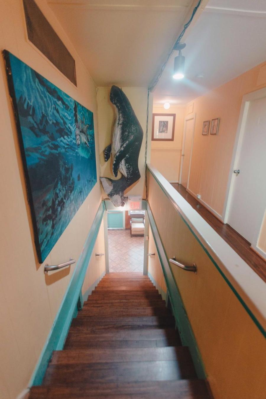 Banana Bungalow Maui Hostel Wailuku Extérieur photo