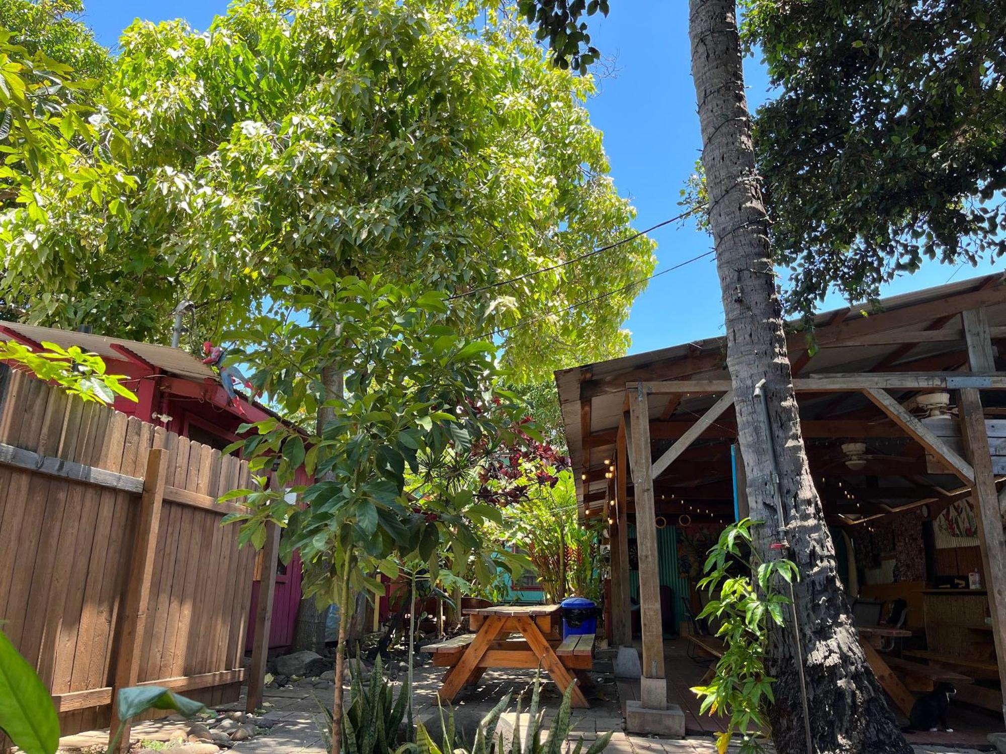 Banana Bungalow Maui Hostel Wailuku Extérieur photo